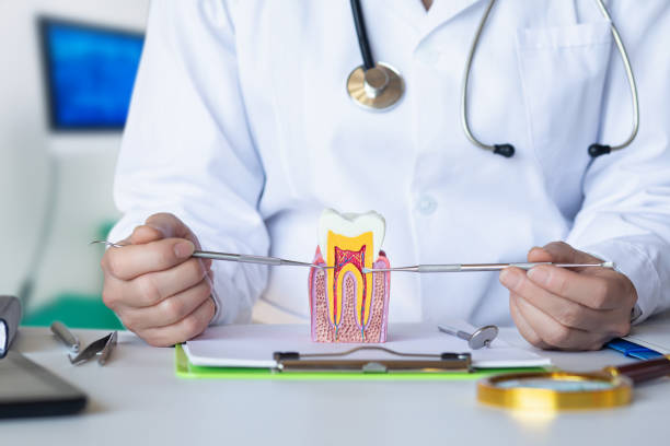  Nutter Fort, WV Emergency Dentist Pros